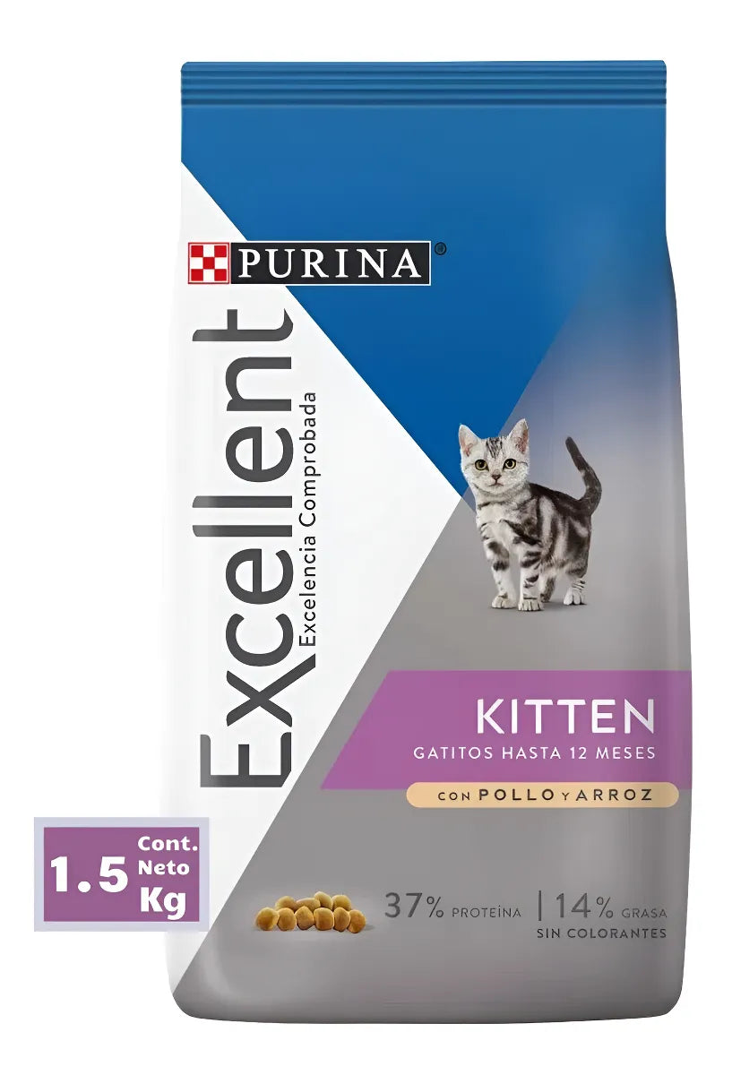 Excellent Kitten