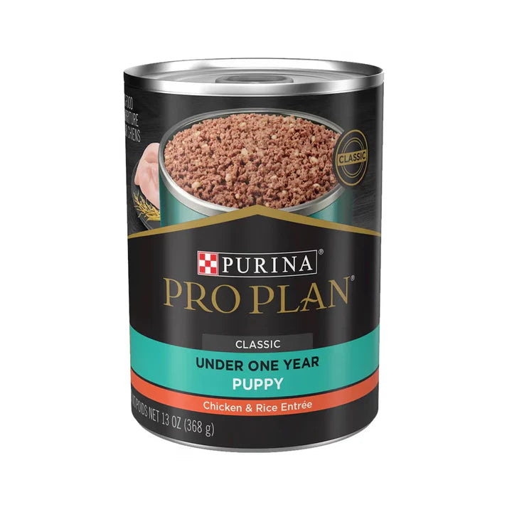Prol Plan Lata Perro Cachorro