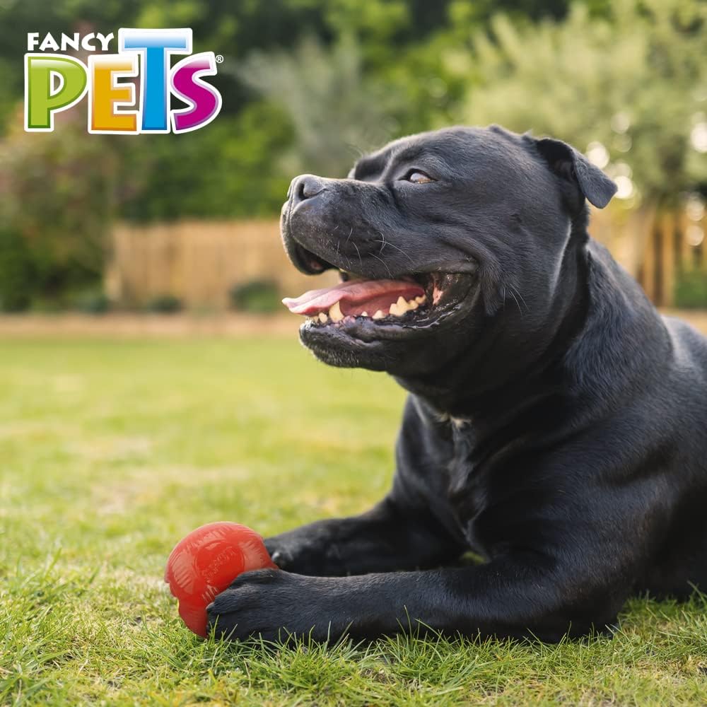 Fancy Pets Juguete Bola Mediana Xtreme para Perros