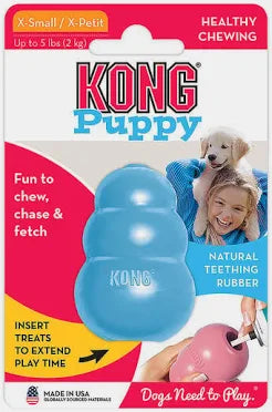 Kong Puppy