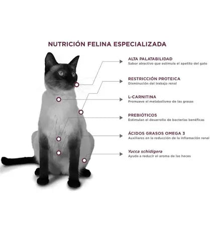 Nupec Felino Renal Care