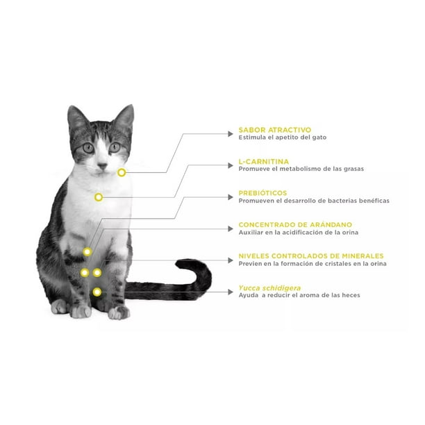 Nupec Felino Urinary Management